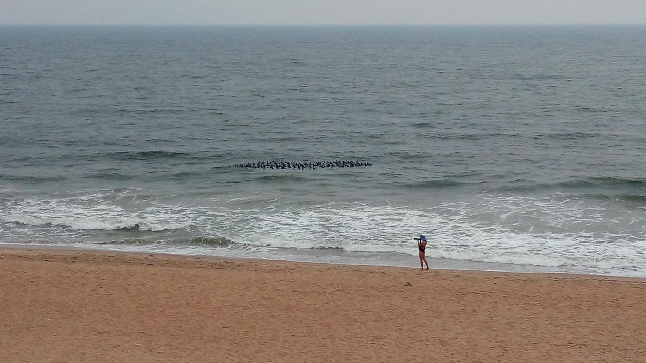 Kelambākkam Sea La Vie Covelong Beach Resort מראה חיצוני תמונה